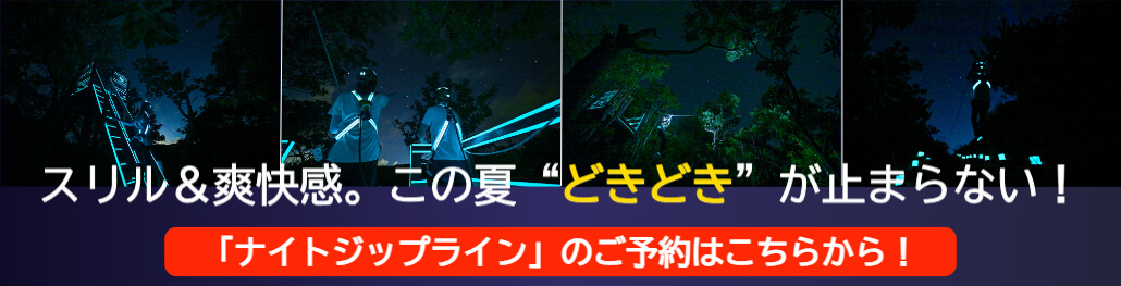 スリル＆爽快感。この夏“どきどき”が止まらない！「ナイトジップライン」のご予約はこちらから！