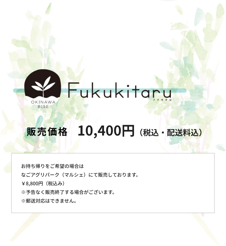 販売価格 10,400円（税込・配送料込）お持ち帰りをご希望の場合はなごアグリパーク（マルシェ）にて販売しております。￥8,800円（税込み）※予告なく販売終了する場合がございます。※郵送対応はできません。