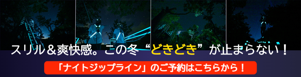 スリル＆爽快感。この冬“どきどき”が止まらない！「ナイトジップライン」のご予約はこちらから！